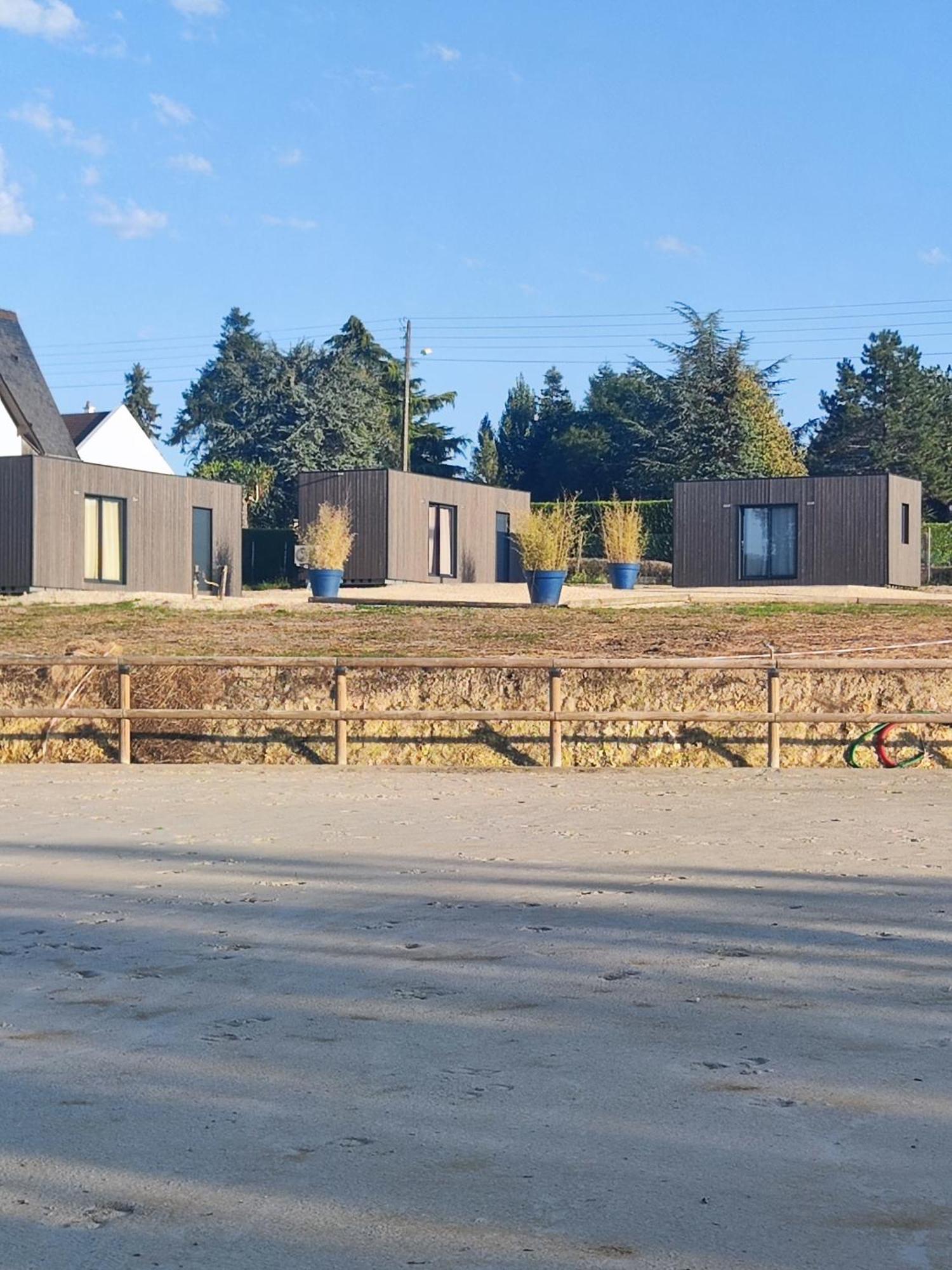 Domaine Du Moulin Neuf Aux Portes De Beauval Nouans-les-Fontaines Esterno foto