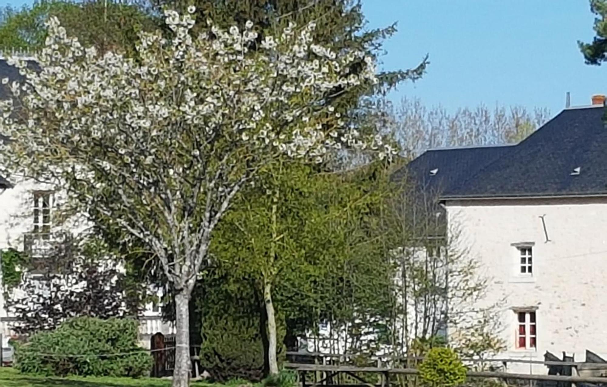 Domaine Du Moulin Neuf Aux Portes De Beauval Nouans-les-Fontaines Esterno foto