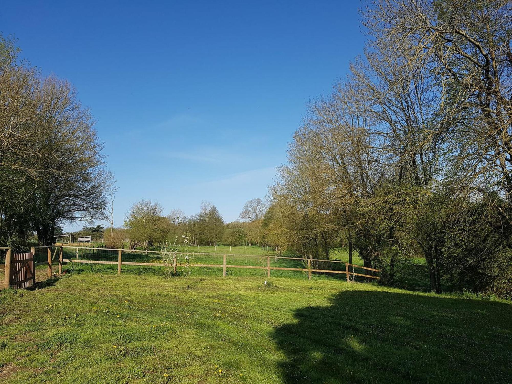 Domaine Du Moulin Neuf Aux Portes De Beauval Nouans-les-Fontaines Esterno foto
