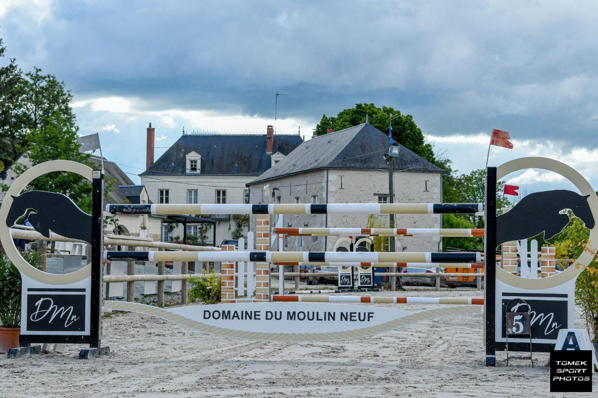 Domaine Du Moulin Neuf Aux Portes De Beauval Nouans-les-Fontaines Esterno foto